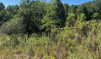 Hamilton Ridge Road, Alderson, WV 24910