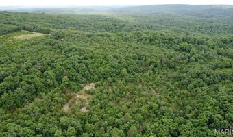 13 Hidden Vly Lks, Annapolis, MO 63620
