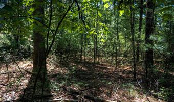 19 Th Pass Lot 132, Arkdale, WI 54613