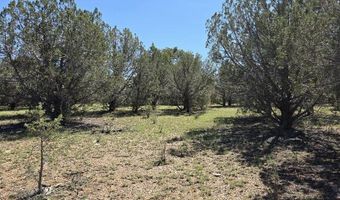 912 Westwood Rnch, Ash Fork, AZ 86320