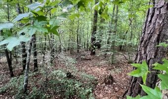 0 ANDREW JACKSON Rd 19, Alexander City, AL 35010