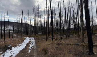 2025 Granite Rd, Bellvue, CO 80512