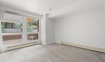 605 E Main St #8, Aspen, CO 81611