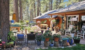160 Easy St, Bayfield, CO 81122