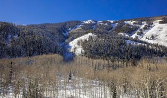 640 S Hayden Rd, Aspen, CO 81611