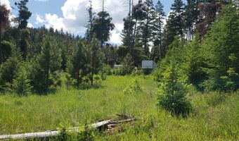 Lot 21 Arlee Pines, Arlee, MT 59821