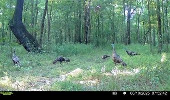 0 Champion Hill Rd, Bolton, MS 39041