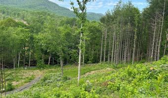Pumpkin Patch Road, Bakersville, NC 28705