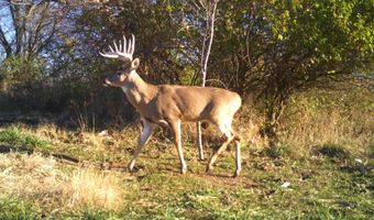 189 Th St, Albia, IA 52531
