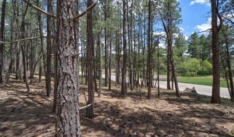 Lot 563 Lakeview Park Drive, Angel Fire, NM 87710