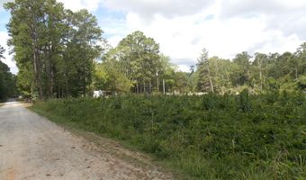 00 Chamberlain Ferry Rd, Lincolnton, GA 30817