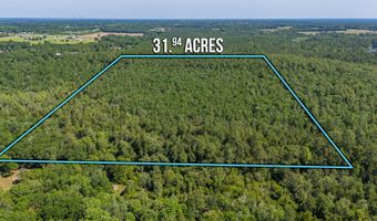 31 Acres Canyon Trl, Baker, FL 32531