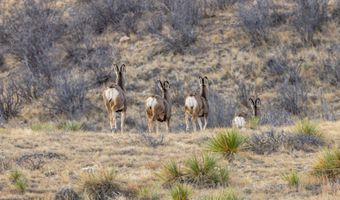 TBD Iron Mountain Rd, Chugwater, WY 82210