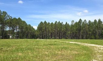 10333 NW 132ND Dr, Alachua, FL 32615