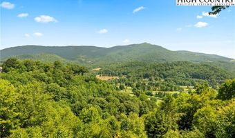 373 Laurel Ridge Ln 4, Banner Elk, NC 28604