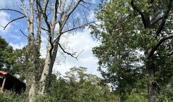 Tbd Rhonda's Way, Bean Station, TN 37708