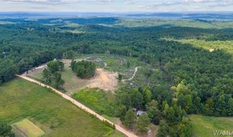 888 New Liberty Rd, Bankston, AL 35542