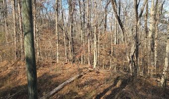 00001 Hwy 369, Ball Ground, GA 30107