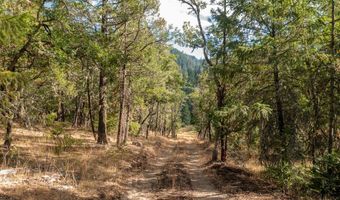 Buckhorn Springs Rd, Ashland, OR 97520