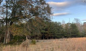 11 Acres RISER MILL ROAD Lot 11 Acres, Alpine, AL 35014