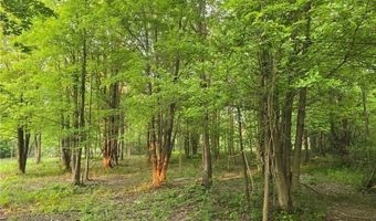 Austinburg Road, Ashtabula, OH 44004