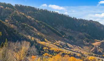 191 Skimming Ln, Aspen, CO 81611