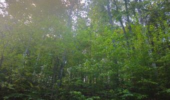 Fox Hollow Dr lot 17, Bastian, VA 24314