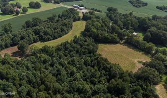 Poplar Springs Road, Atwood, TN 38220