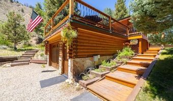 209 Deer Path Ln, Almont, CO 81230