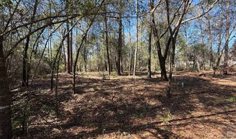 Knollwood lot 4C, Bainbridge, GA 39819