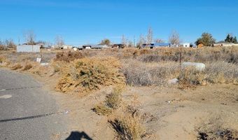 1211 Jungle Dr, Fallon, NV 89406