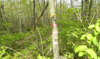 Lot 35 Bennett Road, Alfred, ME 04002