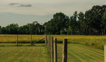 447 County Road 215, Abbeville, MS 38601