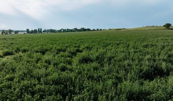 0000 Road, Arnold, NE 69120