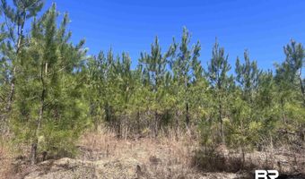 Robinsonville Road, Atmore, AL 36502