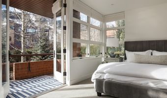 704 E Hyman Ave, Aspen, CO 81611