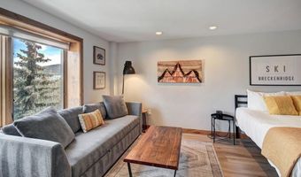 535 S Park Ave 317, Breckenridge, CO 80424