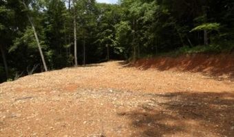 8 63ac Gravely Hill Rd, Bethpage, TN 37022