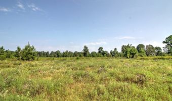 210 CR 2823, Alto, TX 75925