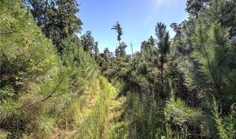 3931 Upper Bethany Rd, Ball Ground, GA 30107