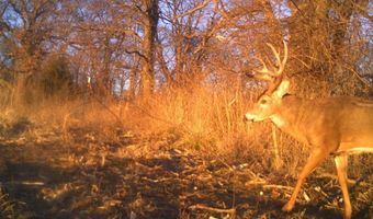 189 Th St, Albia, IA 52531