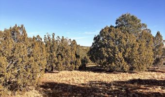 37 Cinder Dr, Concho, AZ 85924