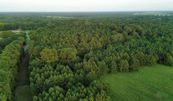 120 LR 180, Ashdown, AR 71822