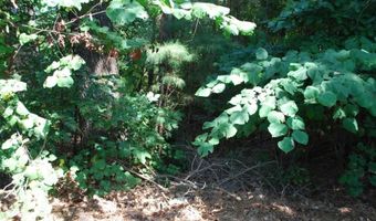 Lot 5 Neffwood LN, Bella Vista, AR 72715