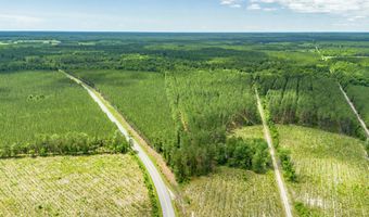 Tract B Ten Acre Rd, Andrews, SC 29510