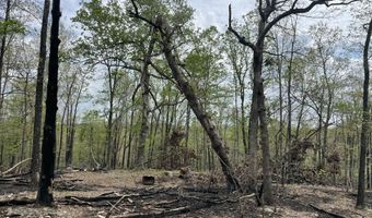 State Hwy N Tract G, Ava, MO 65608
