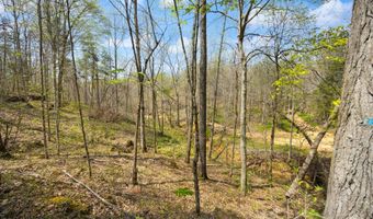 Martha Stockton Road, Albany, KY 42602