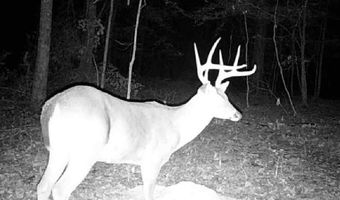 1 8 Miles Due South Down Anding Oil City Rd, Bentonia, MS 39040