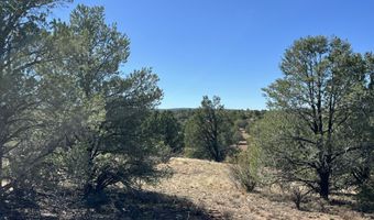 9 A Ranch Rd, Ash Fork, AZ 86320