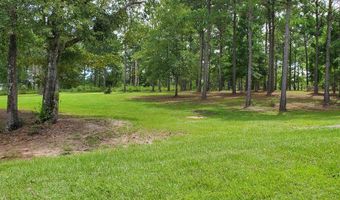 Lot 12 A Mountain View Way 12, Bainbridge, GA 39819